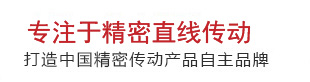 精密線性傳動產品專業制造商